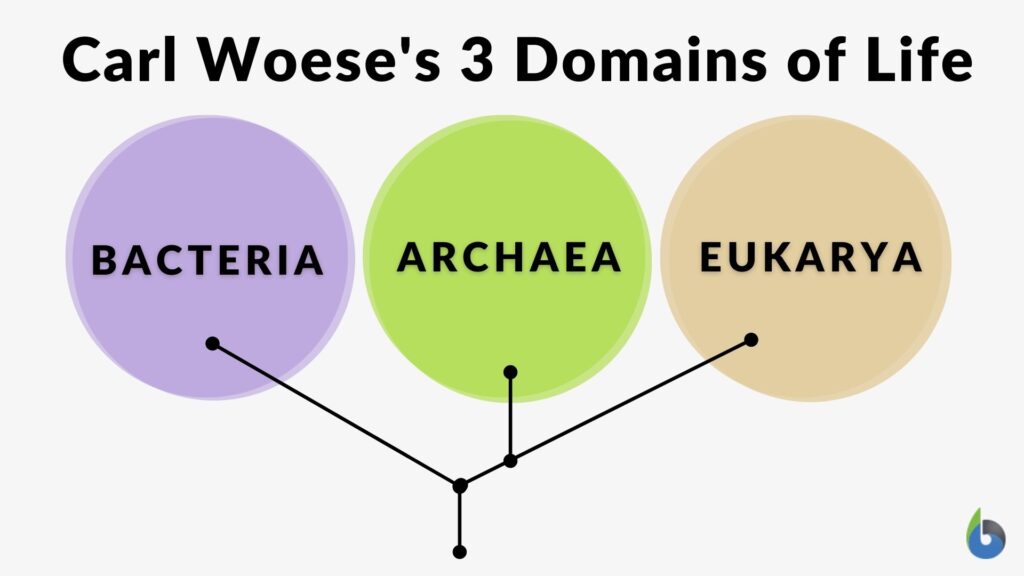 domain science classification