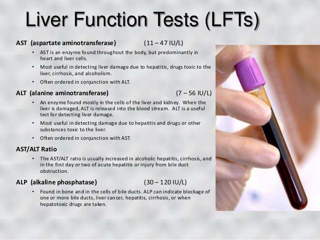 liver-function-test-explained-alt-ast-alp-albumin-bilirubin-test