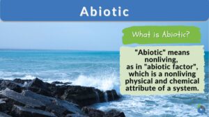 Abiotic definition and example