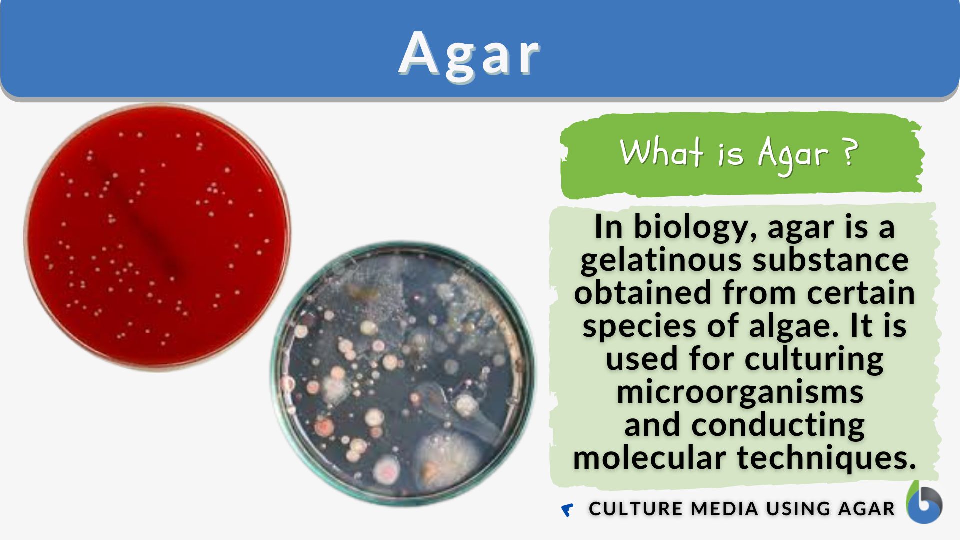 Composition of culture media used in the microbiological assays
