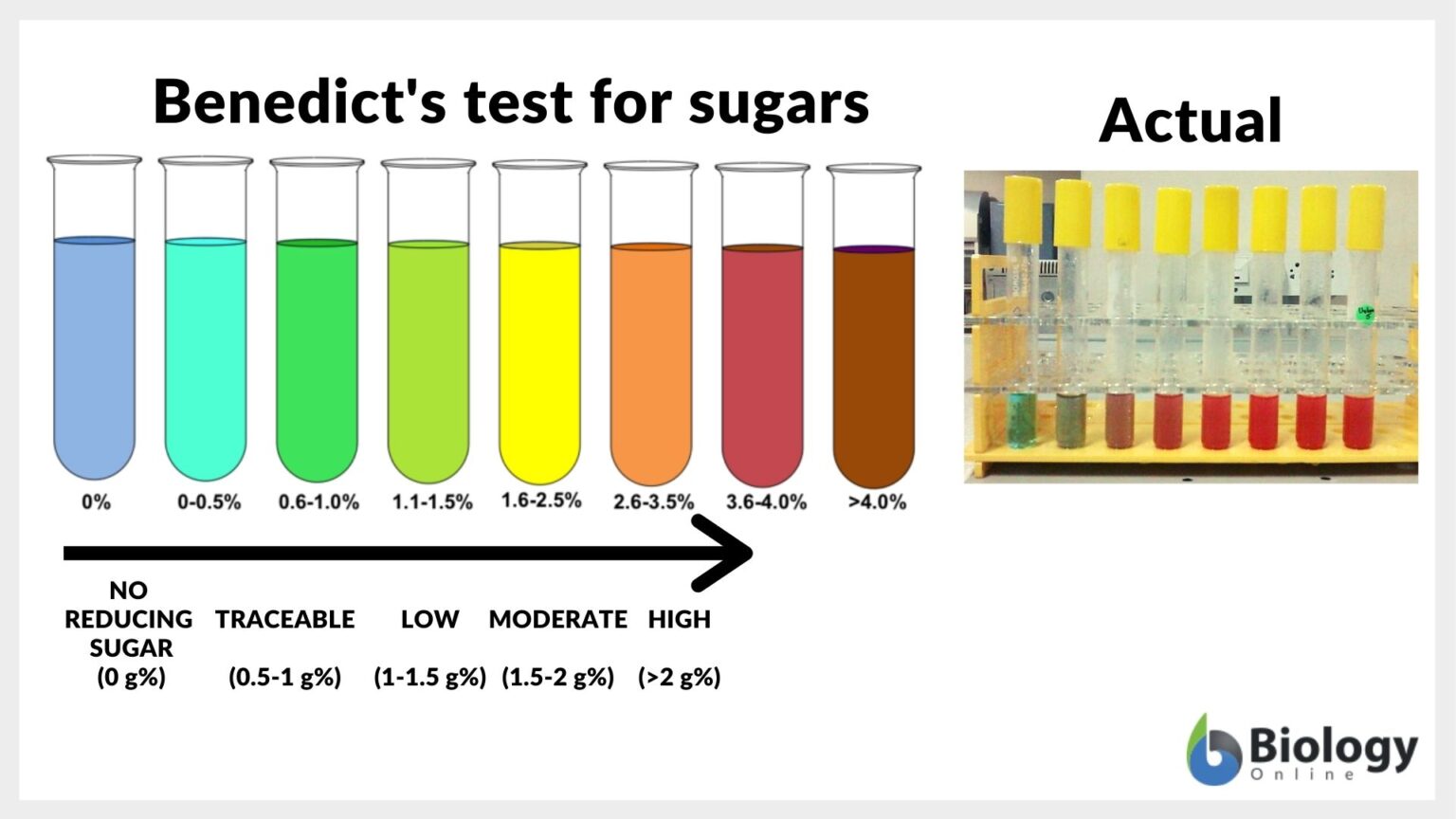 reducing and non reducing sugar experiment