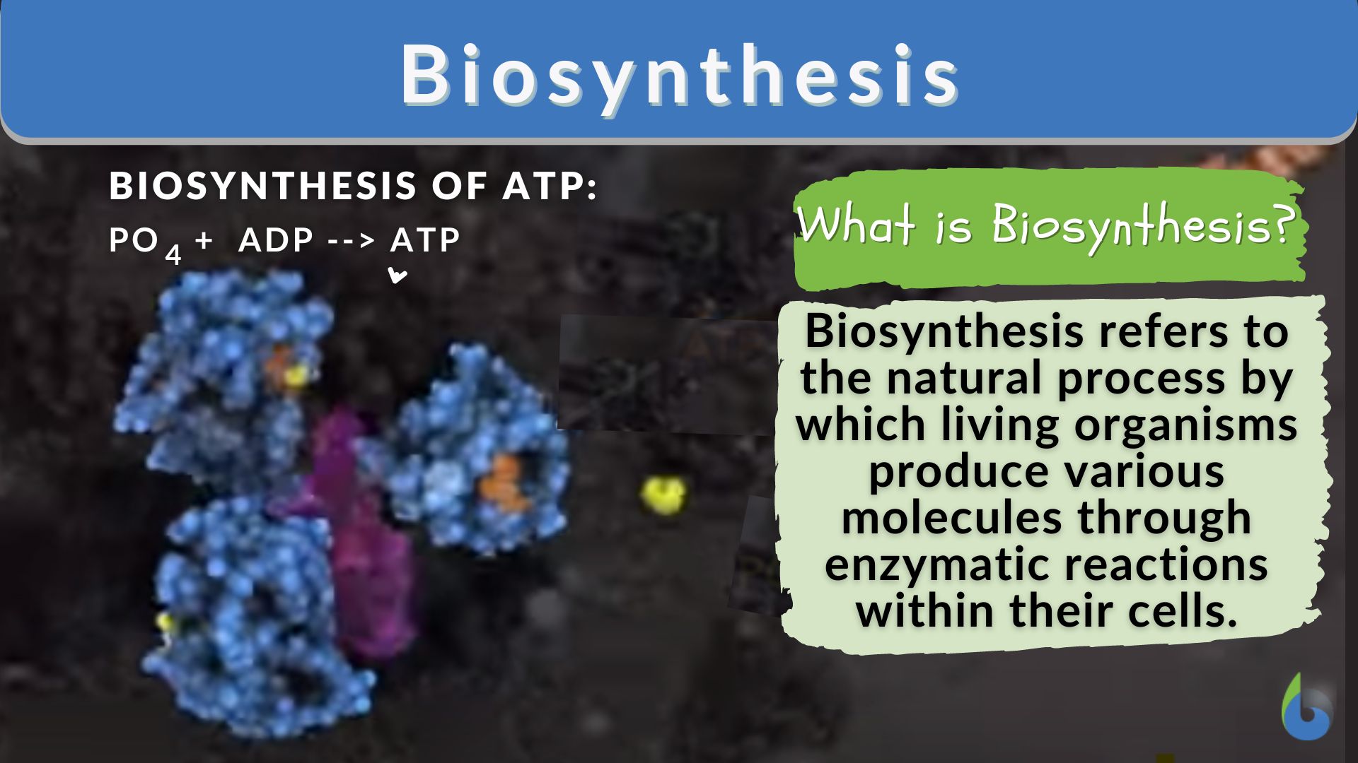 biosynthesis-definition-and-examples-biology-online-dictionary