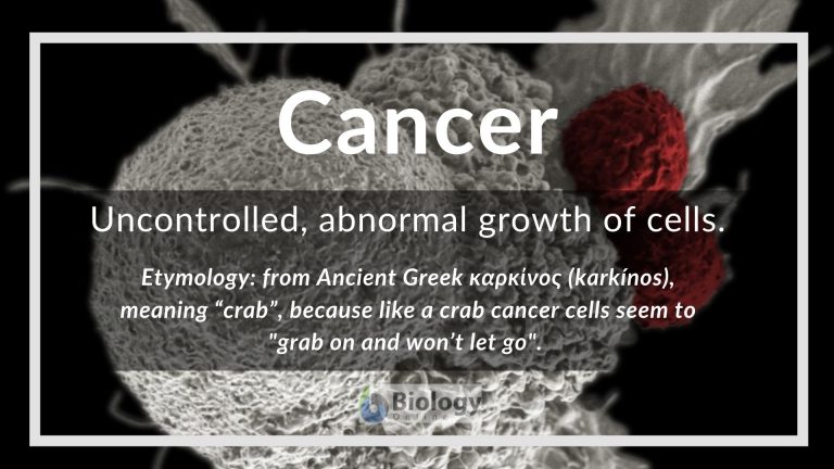 Cancer Definition And Examples Biology Online Dictionary