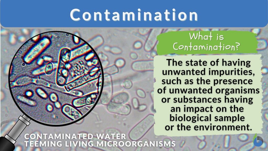 Contamination - Definition and Examples - Biology Online Dictionary