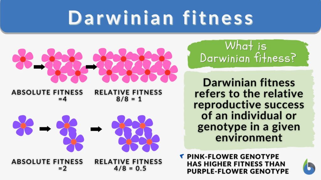 darwinian biology and the new understanding of animals