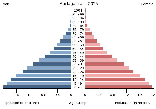 Demographic transition - Definition and Examples - Biology Online ...