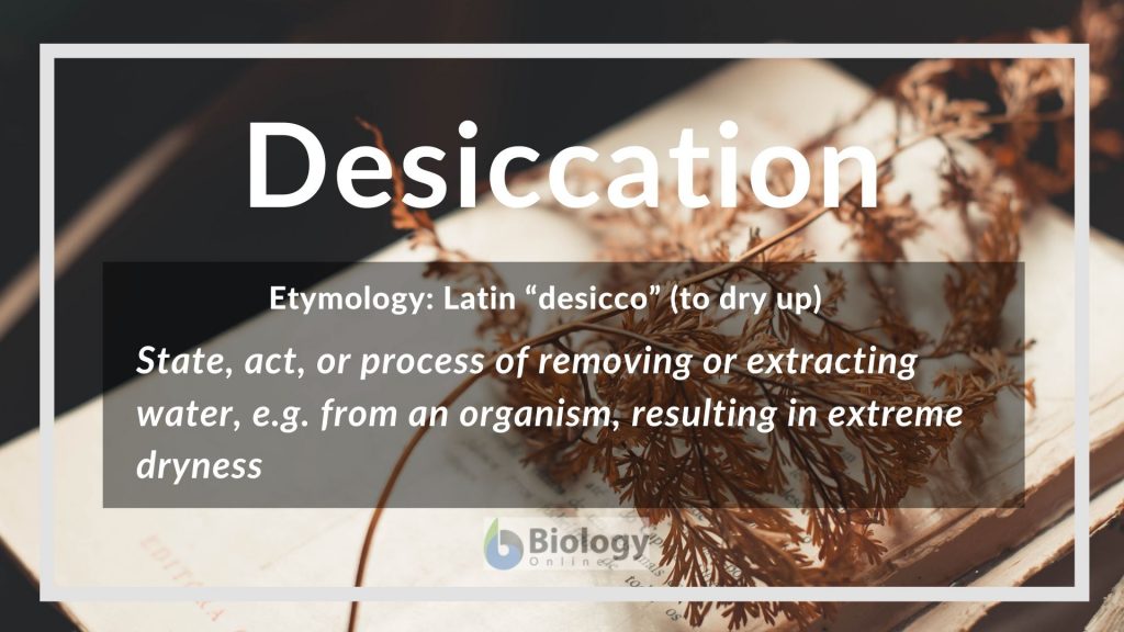 desiccation-definition-and-examples-biology-online-dictionary