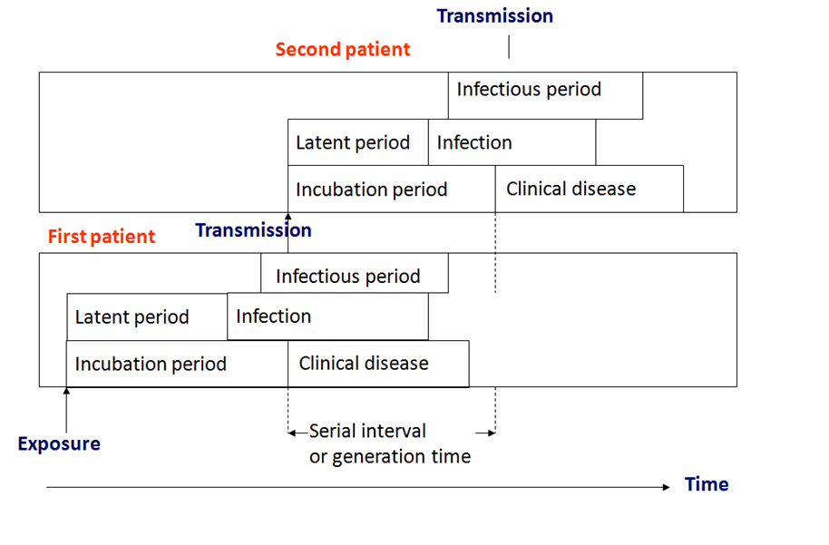 Incubation period Definition and Examples Biology Online Dictionary