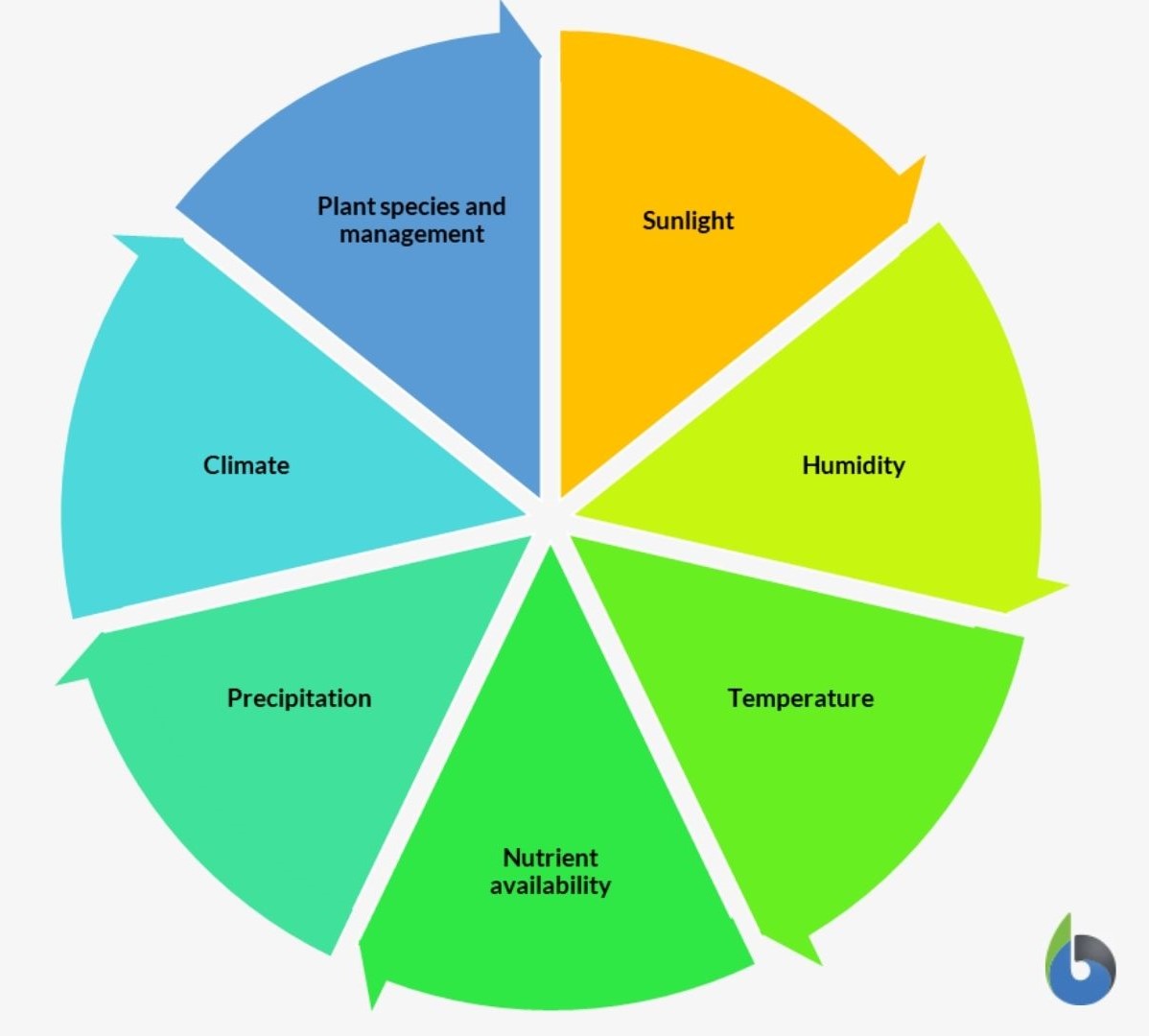 Net Primary Productivity - Definition And Examples - Biology Online ...