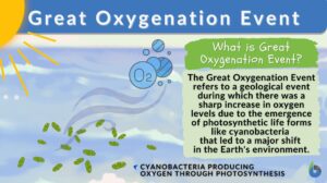 Great Oxygenation Event definition and example