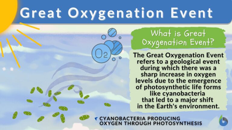 Great Oxygenation Event Definition And Examples - Biology Online Dictionary