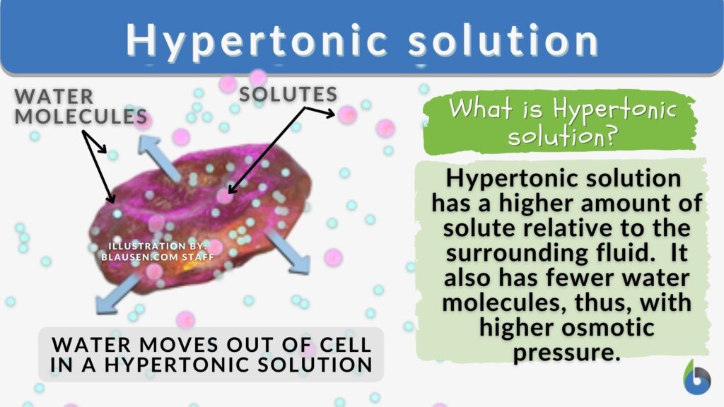 hypertonic-solution-definition-and-examples-biology-online-dictionary