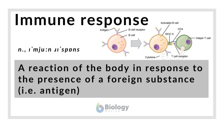 immune-response-definition-and-examples-biology-online-dictionary