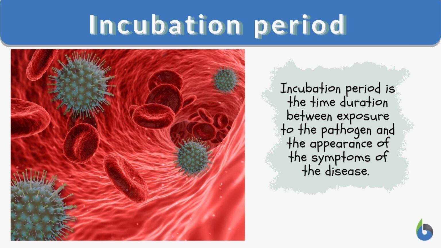 Incubation period Definition and Examples Biology Online Dictionary