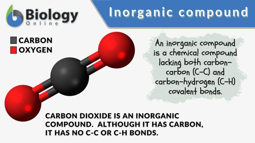 What Are Inorganic Substances In Biology