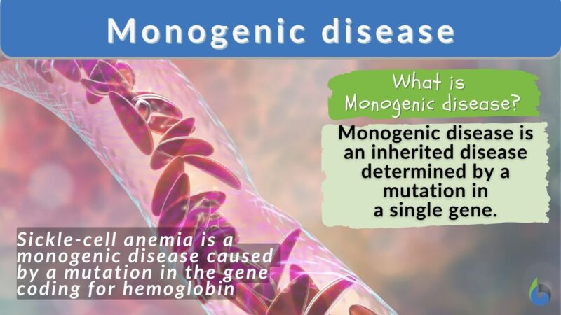 Monogenic Disease Definition And Examples Biology Online Dictionary   Monogenic Disease Definition And Example 800x450 