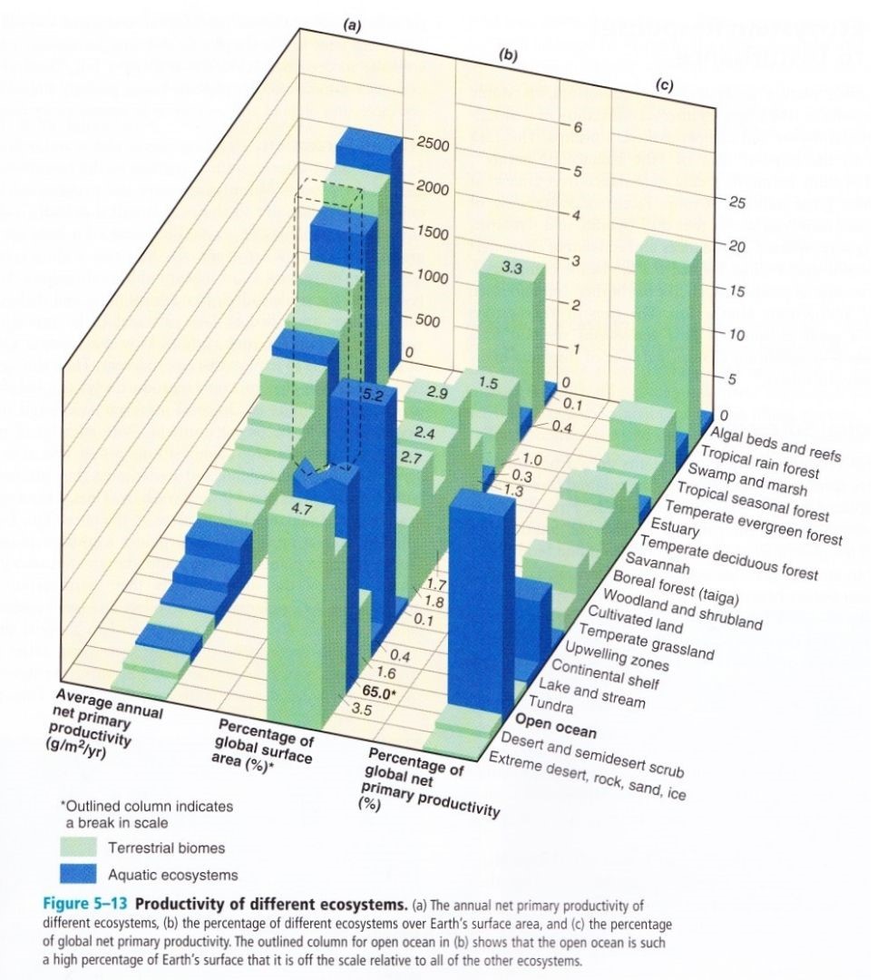 Net Primary Productivity - Definition And Examples - Biology Online ...