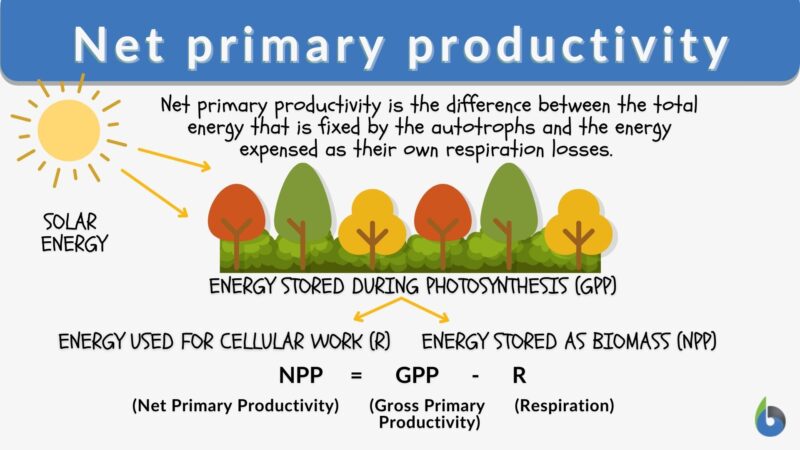 20-incredible-productivity-statistics-2023-average-employee