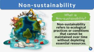 Non-sustainability definition and example