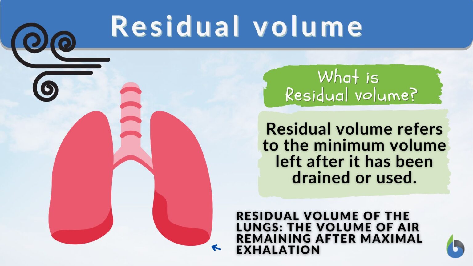 Residual volume - Definition and Examples - Biology Online Dictionary