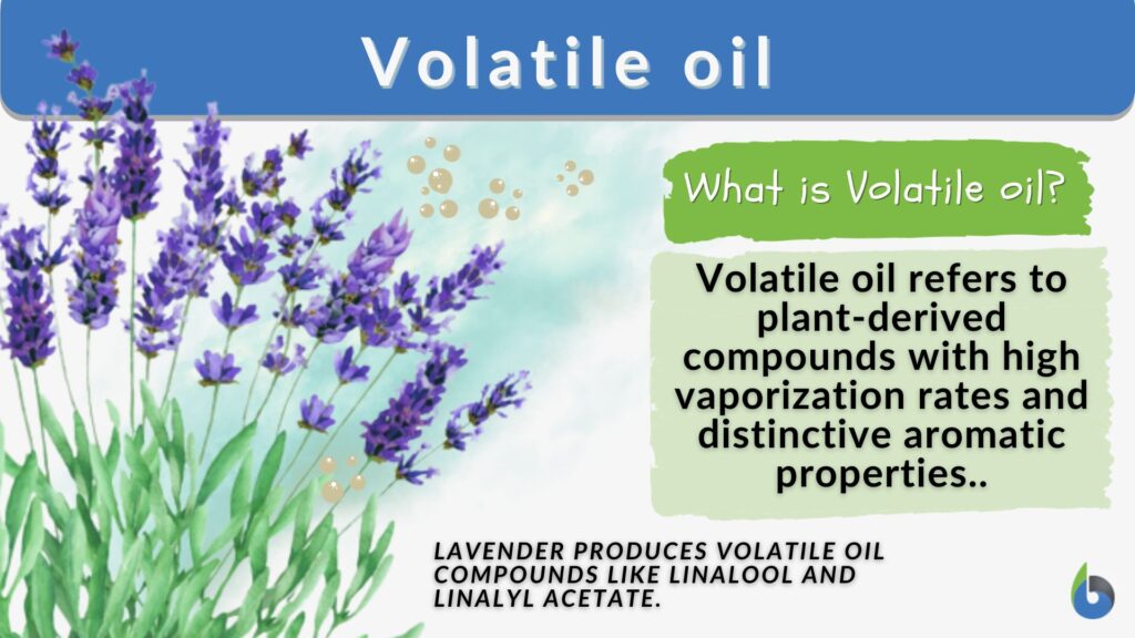 Non Volatile Oil Definition