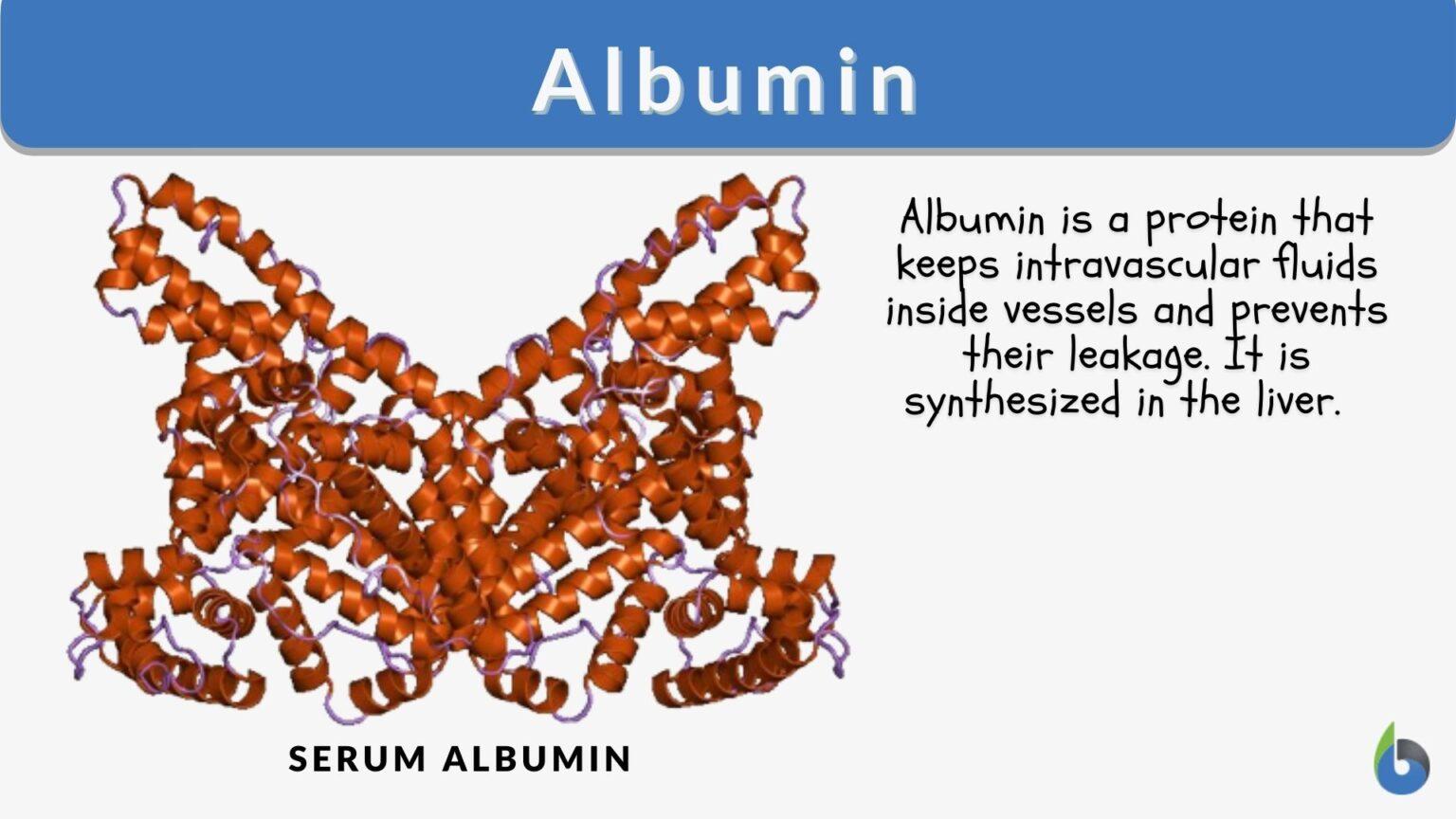 albumin-definition-and-examples-biology-online-dictionary