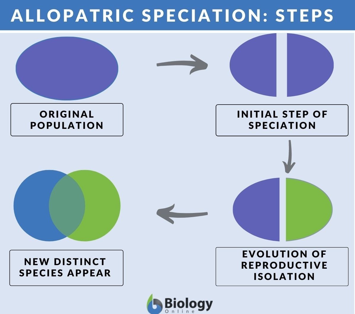 Allopatric Speciation Definition And Examples Biology Online Dictionary