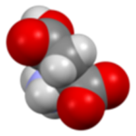 Aspartate - Definition and Examples - Biology Online Dictionary