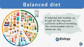 Health Benefits of a Balanced Diet: 7 Essential Nutrients You Need to Add  to Your Diet