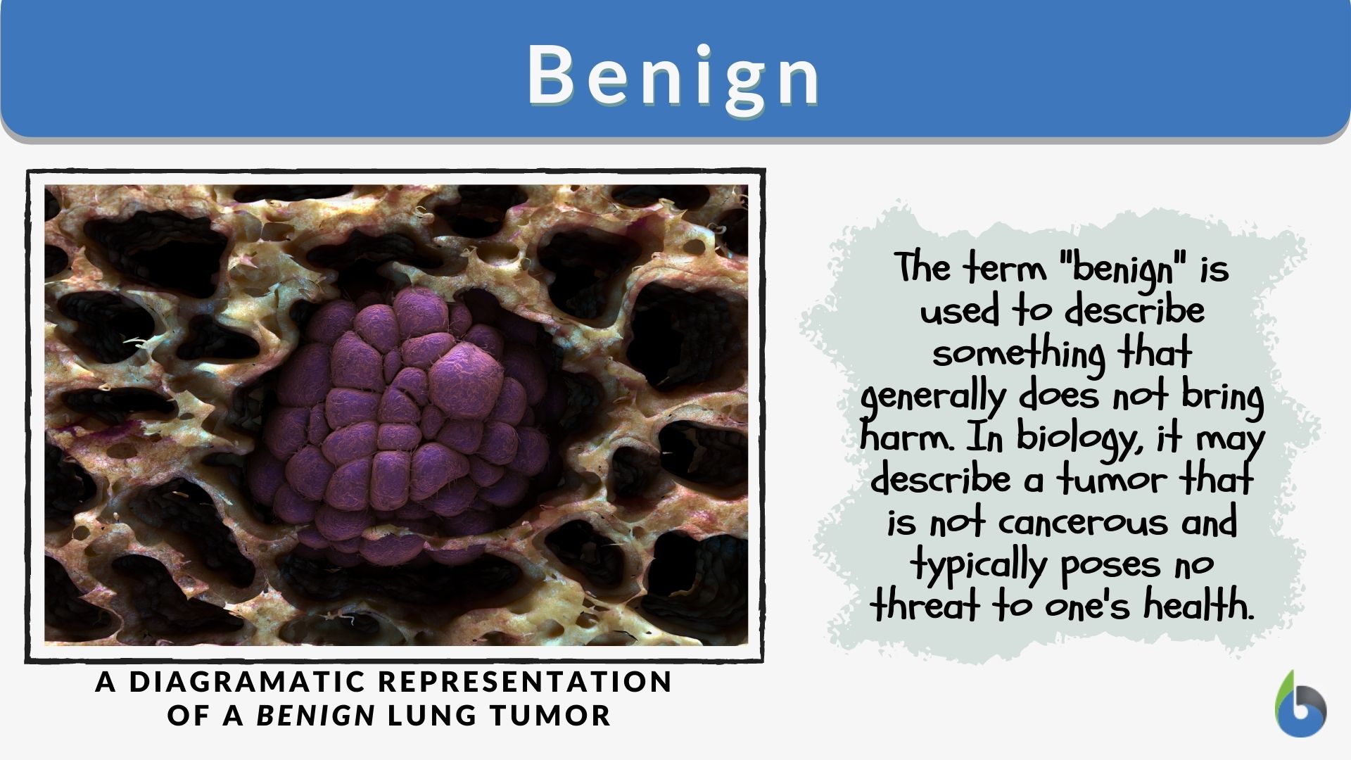 benign tumor vs malignant