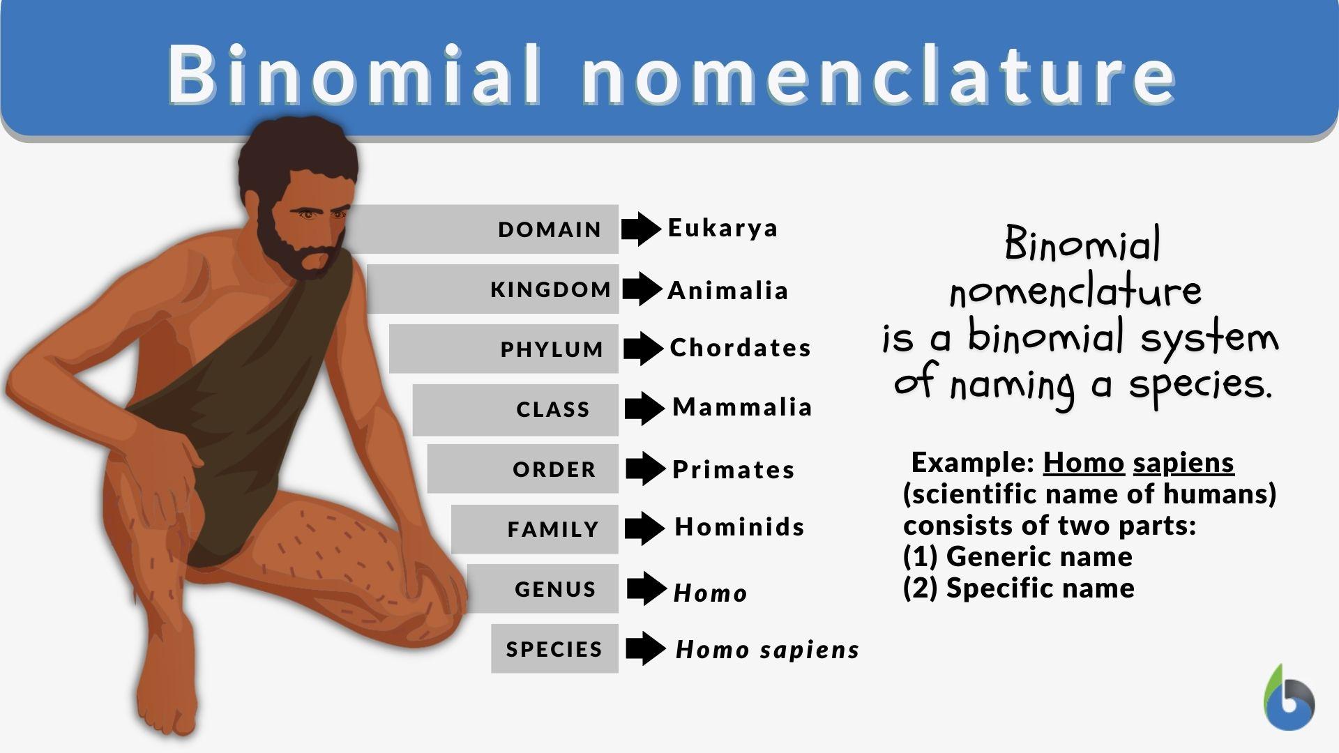 Binomial Nomenclature Definition And Examples Biology Online Dictionary