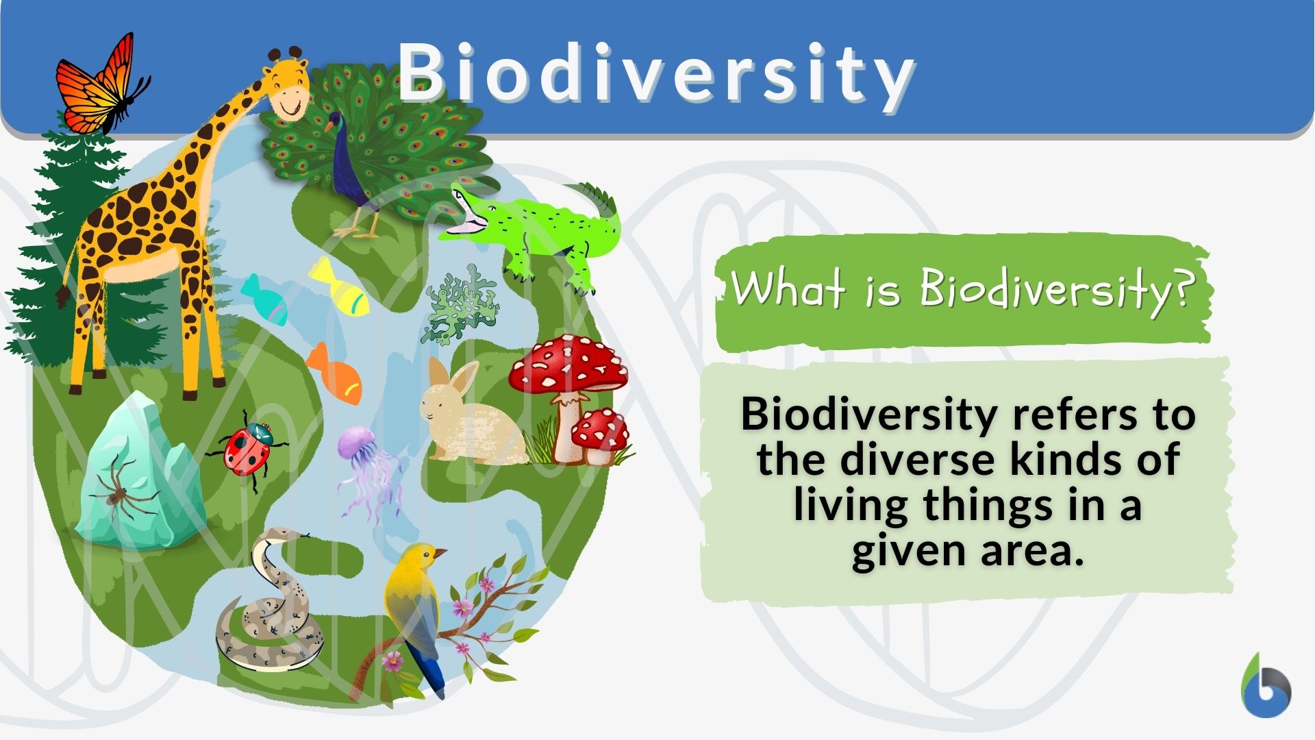 ecosystem definition biology