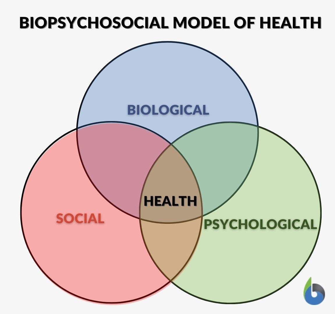 Precipitating factors - Definition and Examples - Biology Online Dictionary