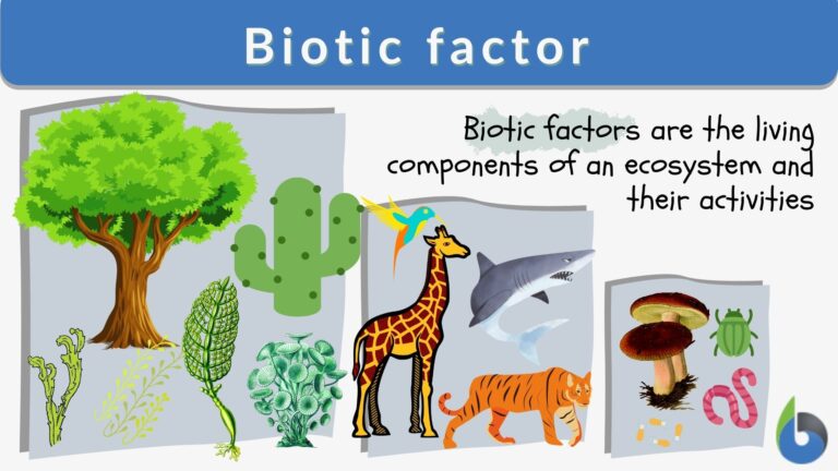 biotic factor definition and examples