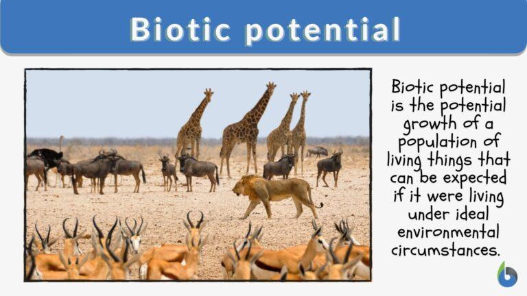 biotic-potential-definition-and-examples-biology-online-dictionary