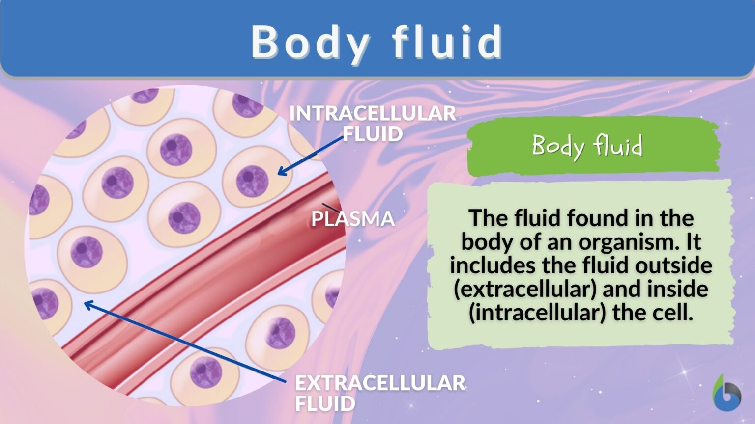 body-fluid-definition-and-examples-biology-online-dictionary