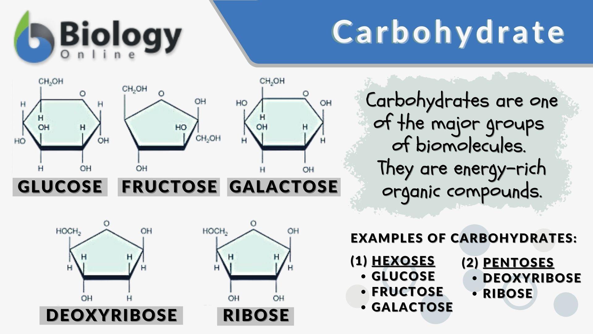 Carbohydrates Definition Examples Structure Types And Functions | The ...