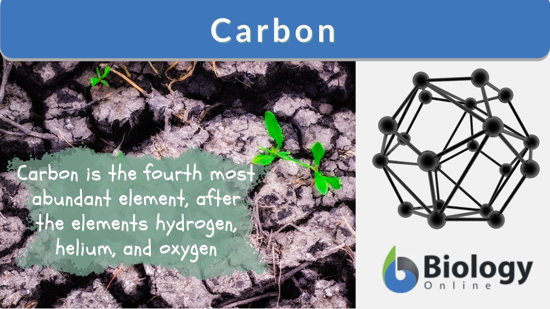 facts about carbon element