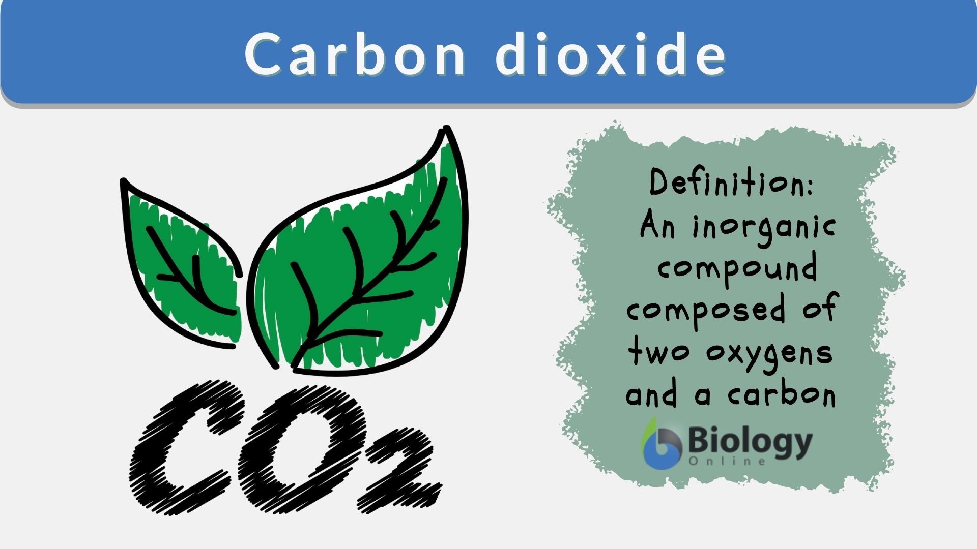 Things you need to know about carbon dioxide