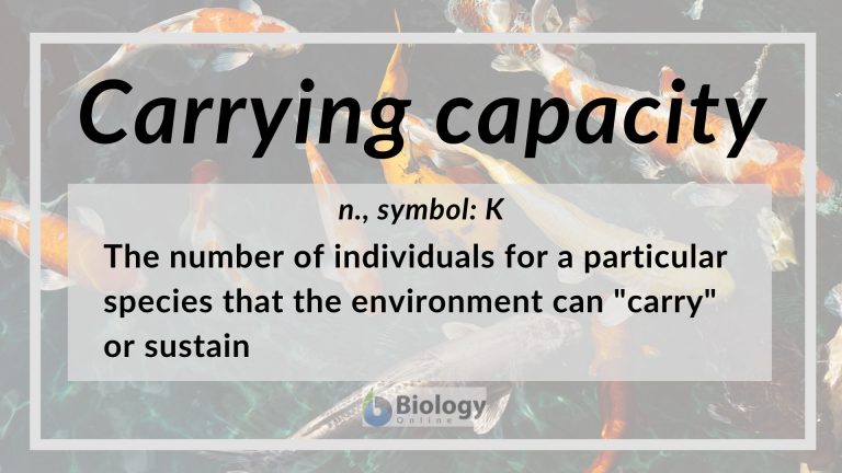 Carrying Capacity Definition 768x432 
