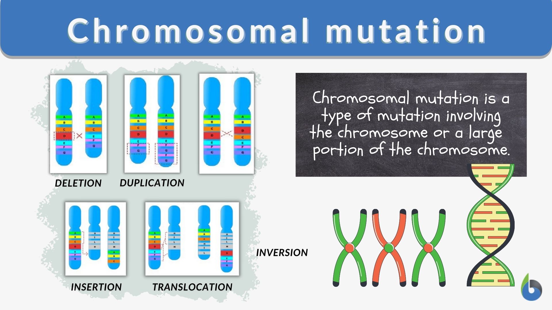 chromosome deletion