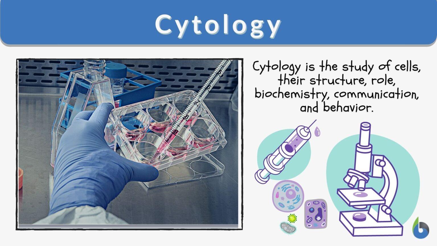 Cytology Definition and Examples Biology Online Dictionary