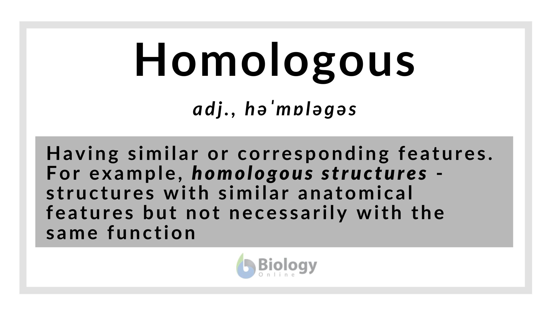 Homologous Definition And Examples Biology Online Dictionary