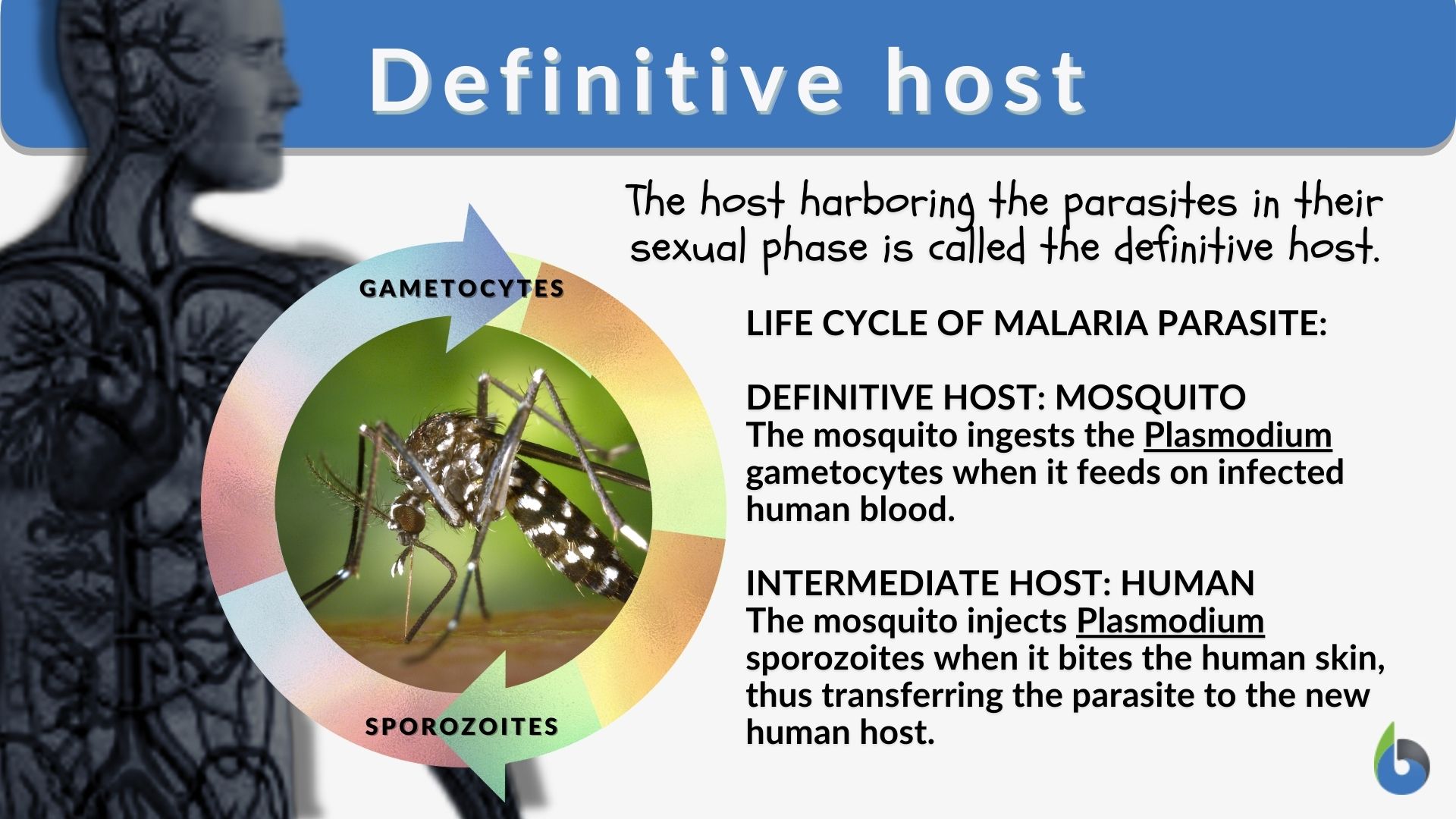 host science example
