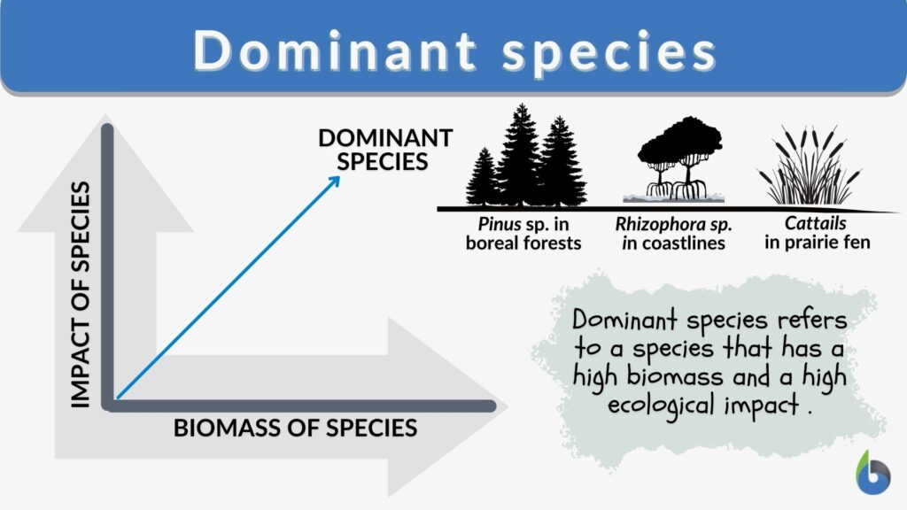 classification-species-concepts-post-16-biology-a-level-pre-u-ib