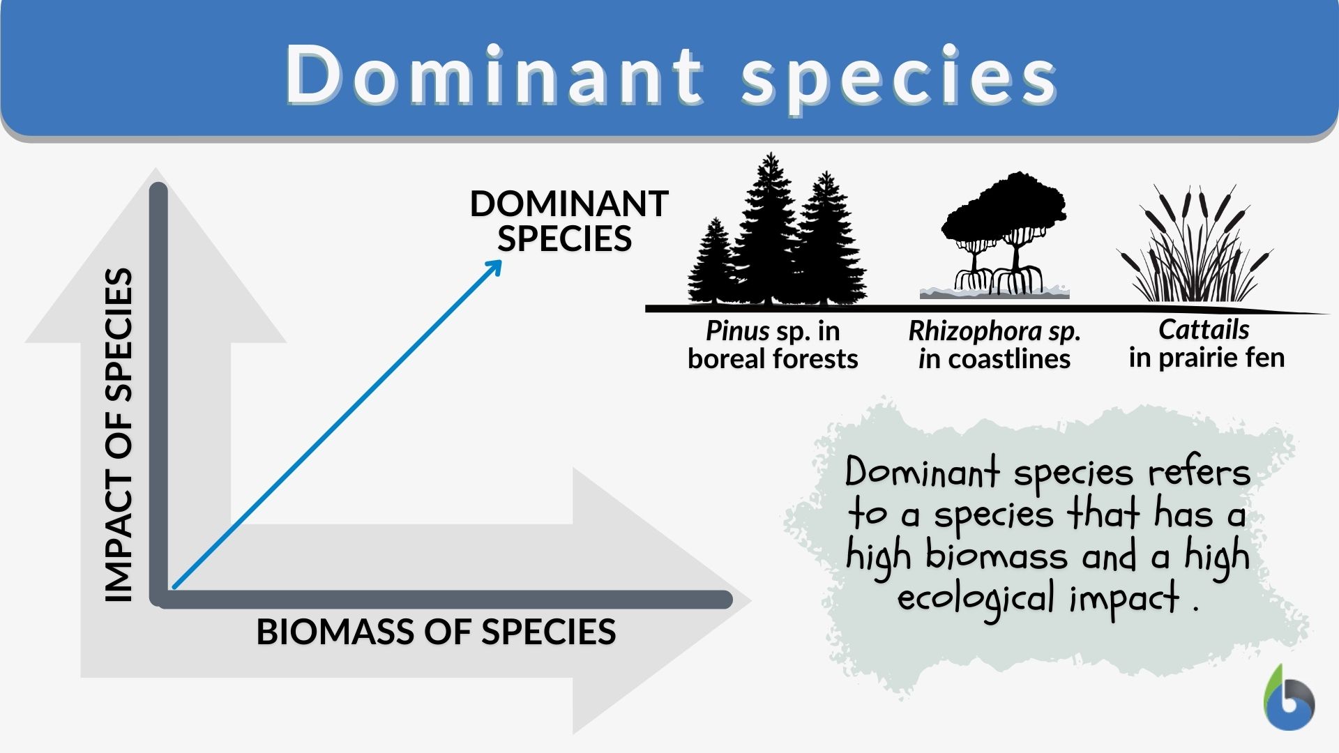 What is a keystone species? + Example