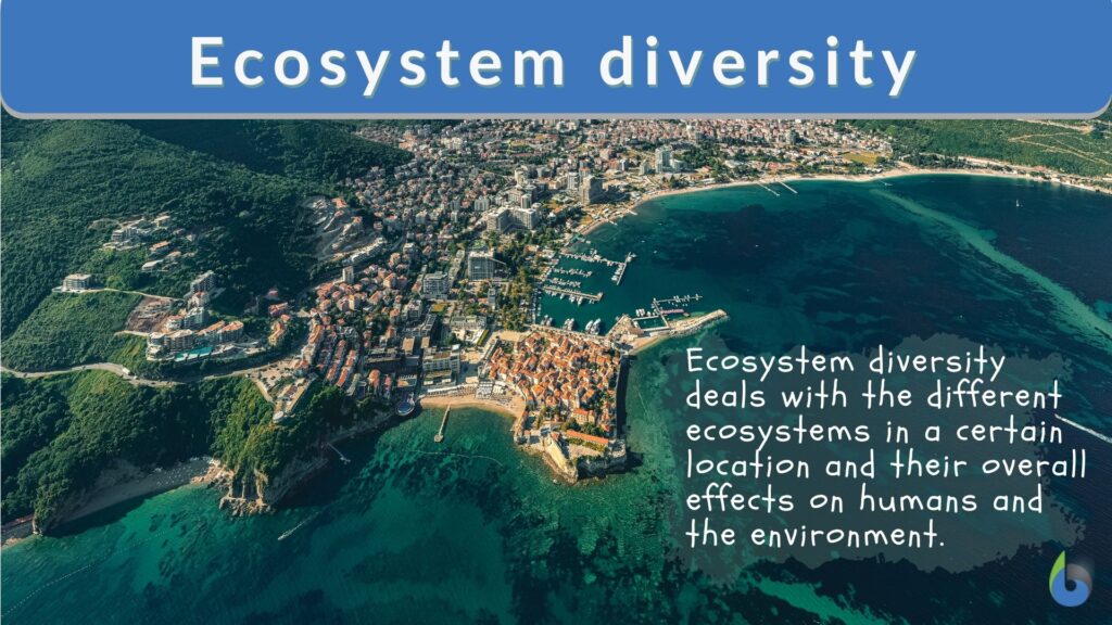 ecosystem diversity essay