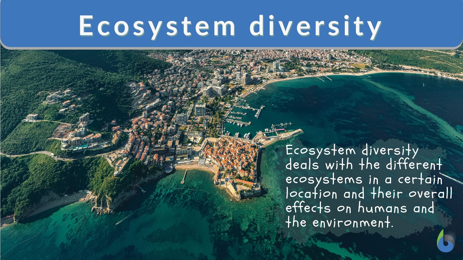 Ecosystem Diversity Definition And Examples Biology Online Dictionary