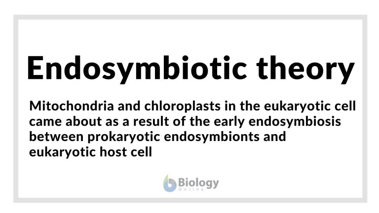 definition of endosymbiotic hypothesis