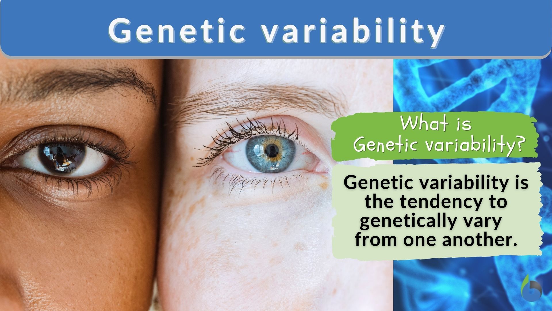 Genetic Variability Definition And Examples Biology Online Dictionary